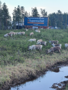 Utsjoki